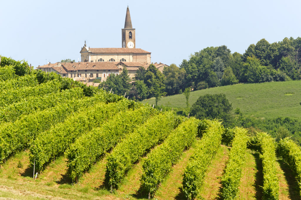 Landscape in the Oltrepo Pavese (Pavia, Lombardy, Italy) at summer