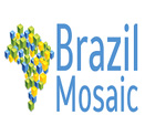Brazil Mosaic