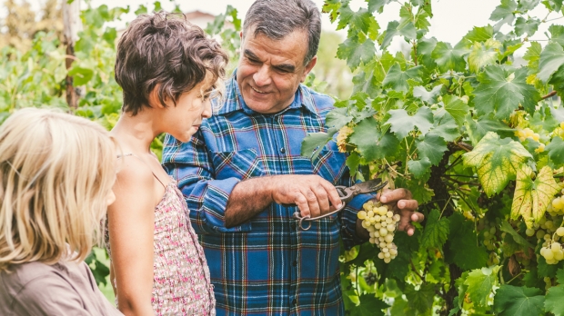 Tour to discover the enogastronomical traditions of Calabria 