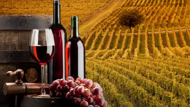 Cosenza e visita de uma vinicola 